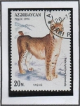 Sellos de Asia - Azerbaiyn -  Gatos: Felis Lince