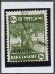 Sellos de Asia - Bangladesh -  Fruta