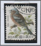 Stamps Belgium -  Pájaros: Pinson