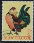 Stamps Belgium -  Gallo