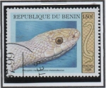 Stamps Benin -  Pituophis