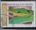 Sellos de Africa - Benin -  Oxybelis