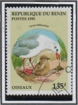 Stamps Benin -  Larus ridibundus