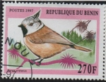 Sellos de Africa - Benin -  Parus Cristatus