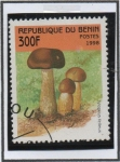 Stamps Benin -  Setas: Tylopilus Felletus