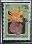 Stamps Benin -  Flores d' Cactus:  Lithops aucamplae