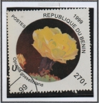 Stamps Benin -  Flores d' Cactus:  Opuntia gosseliniana