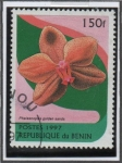 Sellos de Africa - Benin -  Orquídeas: Golden Sands