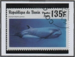 Stamps Benin -  Animales Marinos: Gramphidelphis