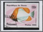 Sellos de Africa - Benin -  Peces: Chaetodontidae