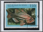 Sellos de Africa - Benin -  Peces: Apogo victoriae