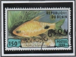 Sellos de Africa - Benin -  Peces: Puntius filamentosus