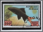 Stamps Benin -  Peces: Epaizeorhynchos