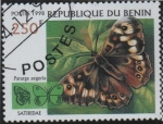 Stamps Benin -  Mariposas: Parage aegeria