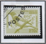 Stamps Benin -  Hippolais