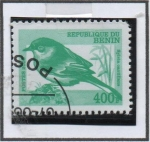 Stamps Benin -  Syvia atricopilla