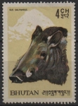 Stamps Benin -  Cerdo pigmeo