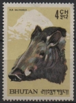 Stamps Benin -  Cerdo pigmeo