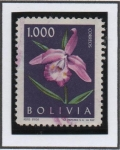 Sellos de America - Bolivia -  Orquideas