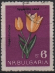 Sellos de Europa - Bulgaria -  Tulipanes