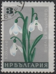 Sellos de Europa - Bulgaria -  Campanilla d' Febrero