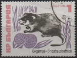 Stamps Bulgaria -  Rata Almizclera