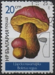 Sellos de Europa - Bulgaria -  Setas: Boletus Reginun