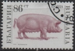 Stamps Bulgaria -  Animales d' Granja: Cerdo