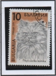 Stamps Bulgaria -  Gato Persa