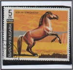 Sellos del Mundo : Europe : Bulgaria : Caballo: Przewalski's