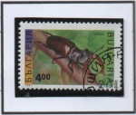 Stamps Bulgaria -  Insectos: Escarabajo