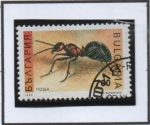 Sellos de Europa - Bulgaria -  Hormiga