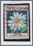 Stamps Bulgaria -  Margarita