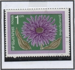 Stamps Bulgaria -  Flores: Aster