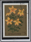 Sellos de Africa - Bulgaria -  Hierbas Medicinales: San Juan