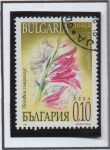 Stamps Bulgaria -  Flores: Gladiolos