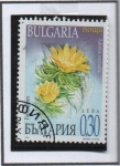 Stamps Bulgaria -  Flores: Adonis