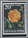 Sellos de Europa - Bulgaria -  Rosas Radiman