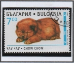 Sellos de Europa - Bulgaria -  Cachorros: Chow Chow