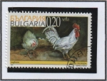 Stamps Bulgaria -  Gallos: Leghorn