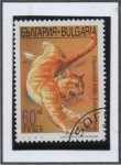 Sellos de Europa - Bulgaria -  Gatos: Europeo