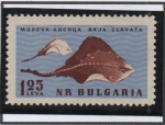 Sellos de Europa - Bulgaria -  Raya