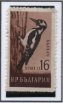 Stamps Bulgaria -  Pajaro Carpintero