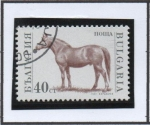 Stamps Bulgaria -  Animales d' Granja: Caballo