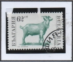 Stamps Bulgaria -  Animales d' Granja: Cabra