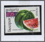 Sellos de Europa - Bulgaria -  Frutas y Vegetales: Sandia