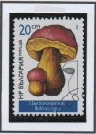 Stamps Bulgaria -  Hongos: Boletus Regius