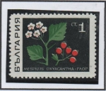 Stamps Bulgaria -  Medlar