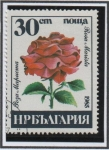 Sellos de Europa - Bulgaria -  Rosa Marista