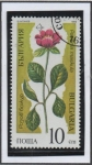 Stamps Bulgaria -  Plantas en peligro: Pacorina maskula